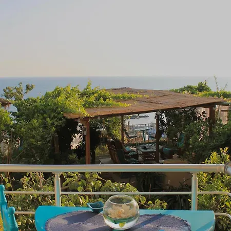 Beach-garden Flat 2
